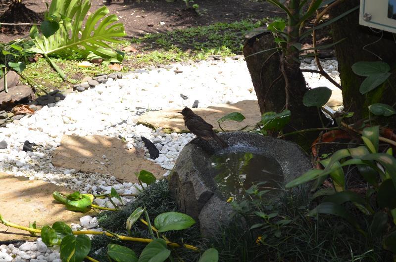 Hotel Aromax Del Campestre Medellín Buitenkant foto